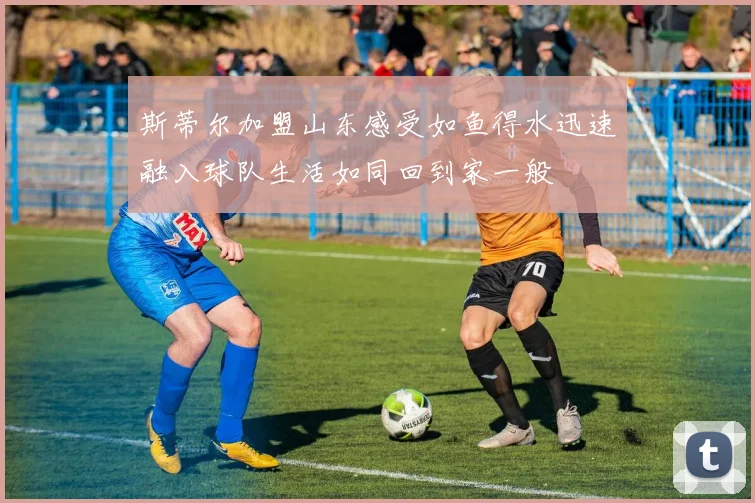 斯蒂尔加盟山东感受如鱼得水迅速融入球队生活如同回到家一般